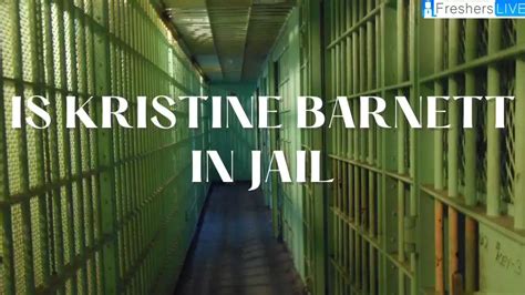 kristine barnett wikipedia|did kristine barnett get convicted.